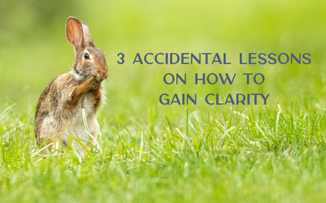 3 Accidental Lessons on How to Gain Clarity